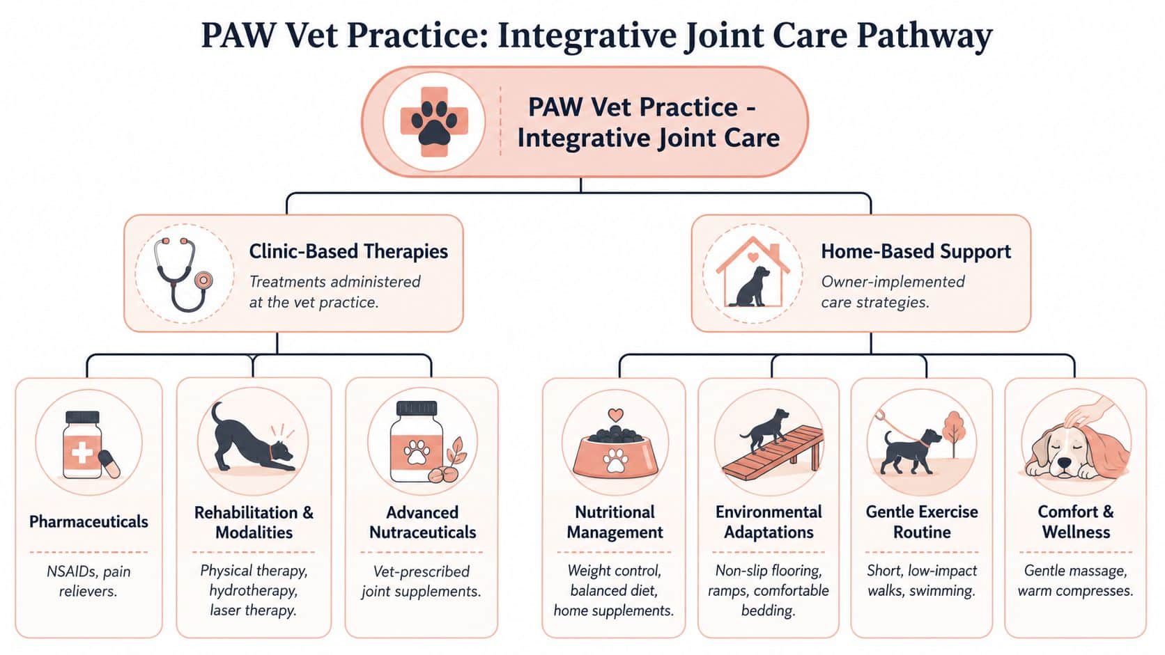 A diagram illustrating an integrative joint care pathway for dogs, covering clinic-based therapies and home-based support.