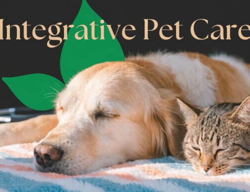 Integrative Veterinary Care: Total Wellness for Your Pet