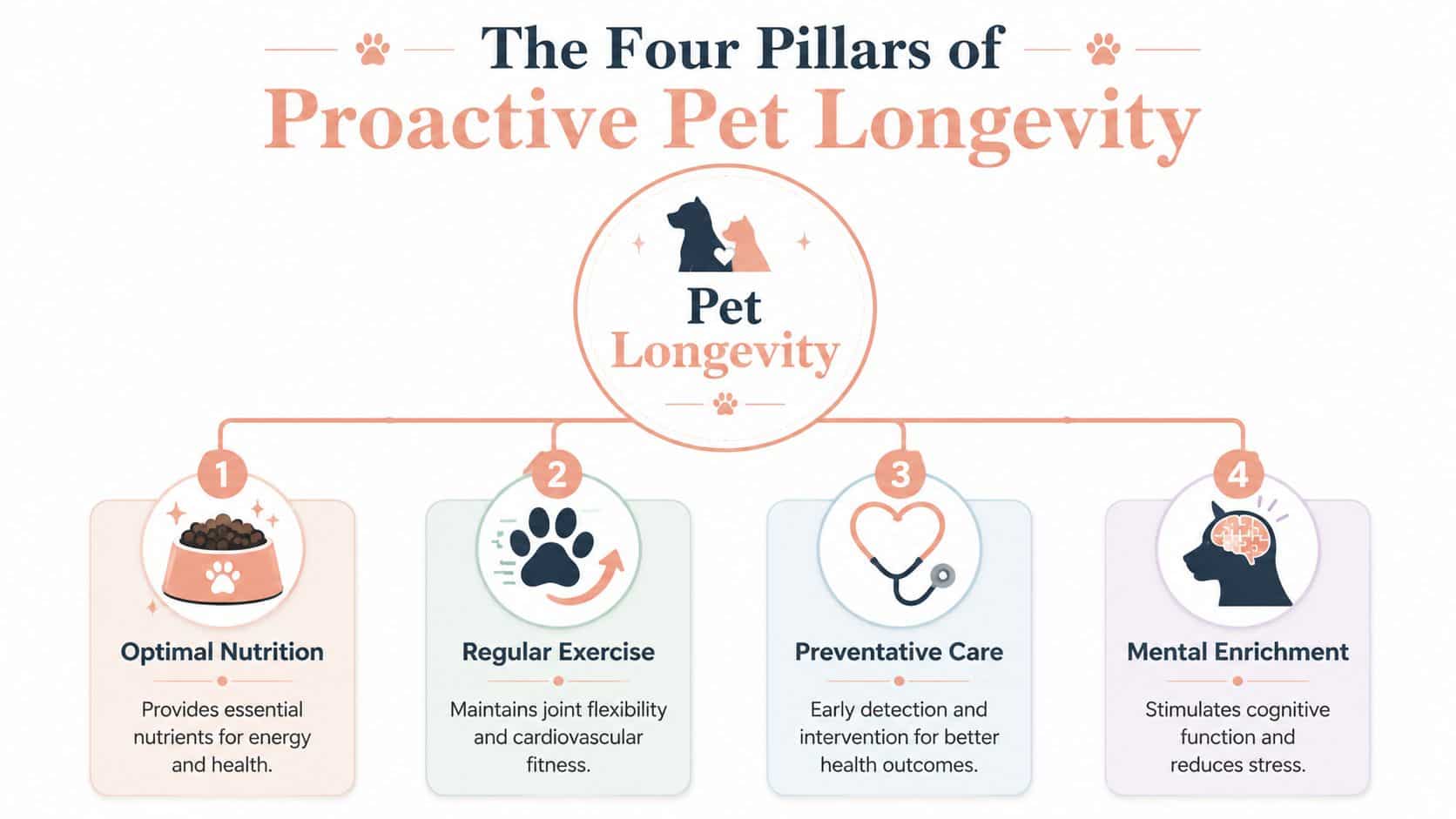 An infographic titled The Four Pillars of Proactive Pet Longevity, featuring nutrition, exercise, preventative care, and enrichment.
