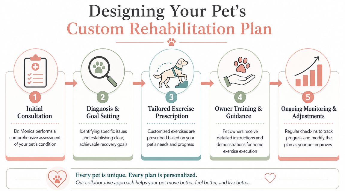 A five-step infographic detailing the process for designing a custom rehabilitation plan for pets.