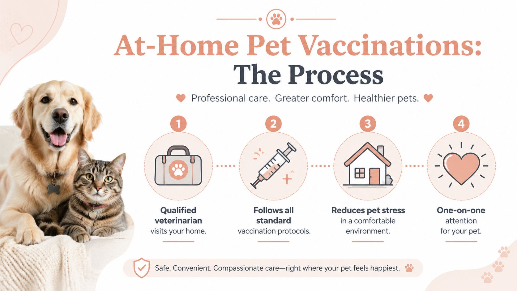 An infographic showing the four-step process for professional at-home pet vaccinations for cats and dogs.