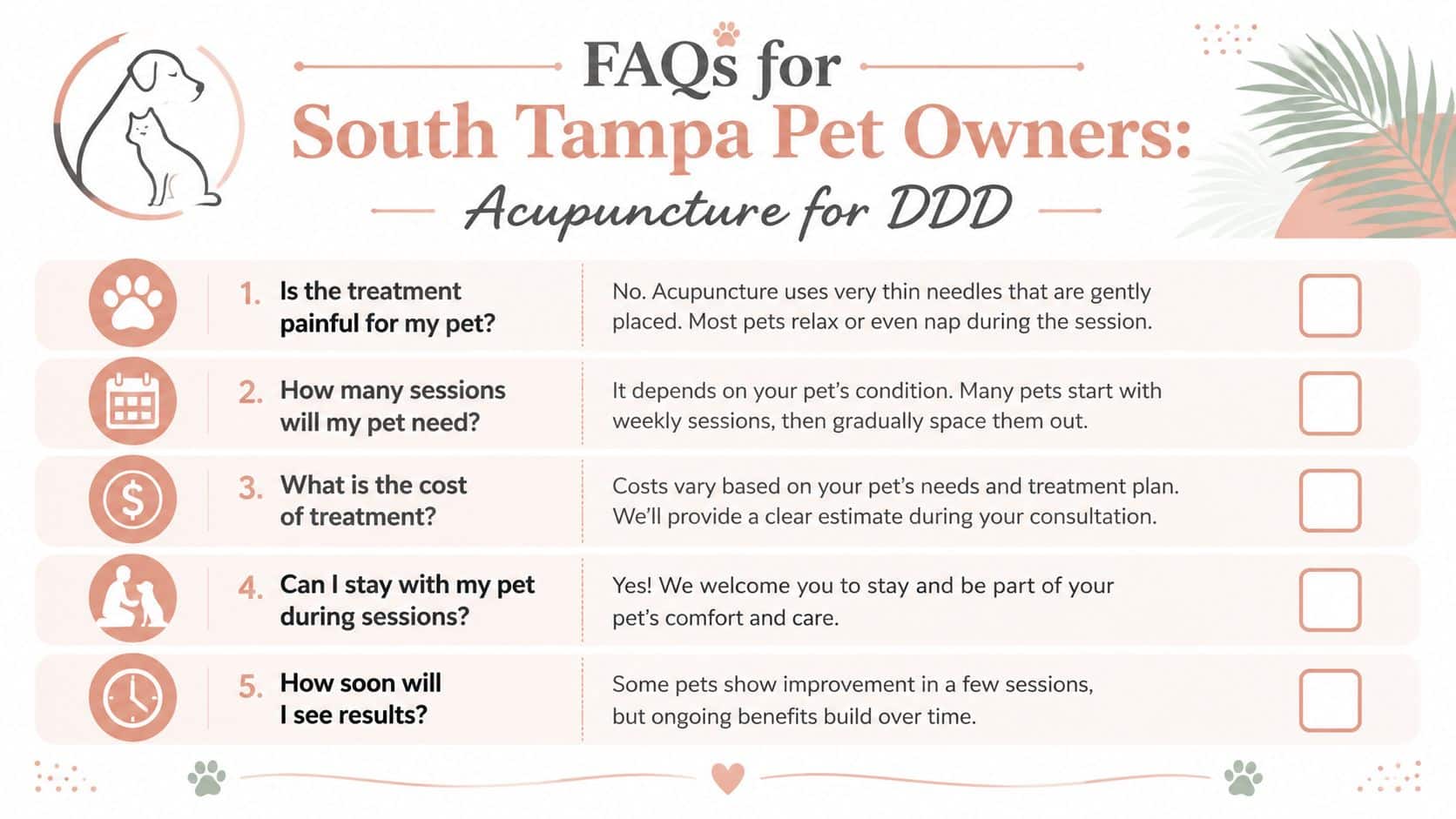 An infographic FAQ list about acupuncture treatment for pets with degenerative disc disease in South Tampa.