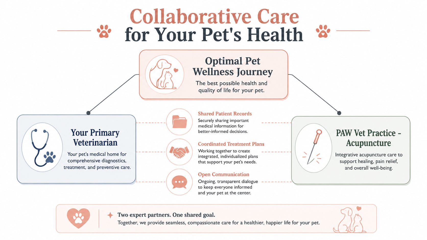A diagram illustrating a collaborative veterinary care model between a primary veterinarian and an acupuncture practice.