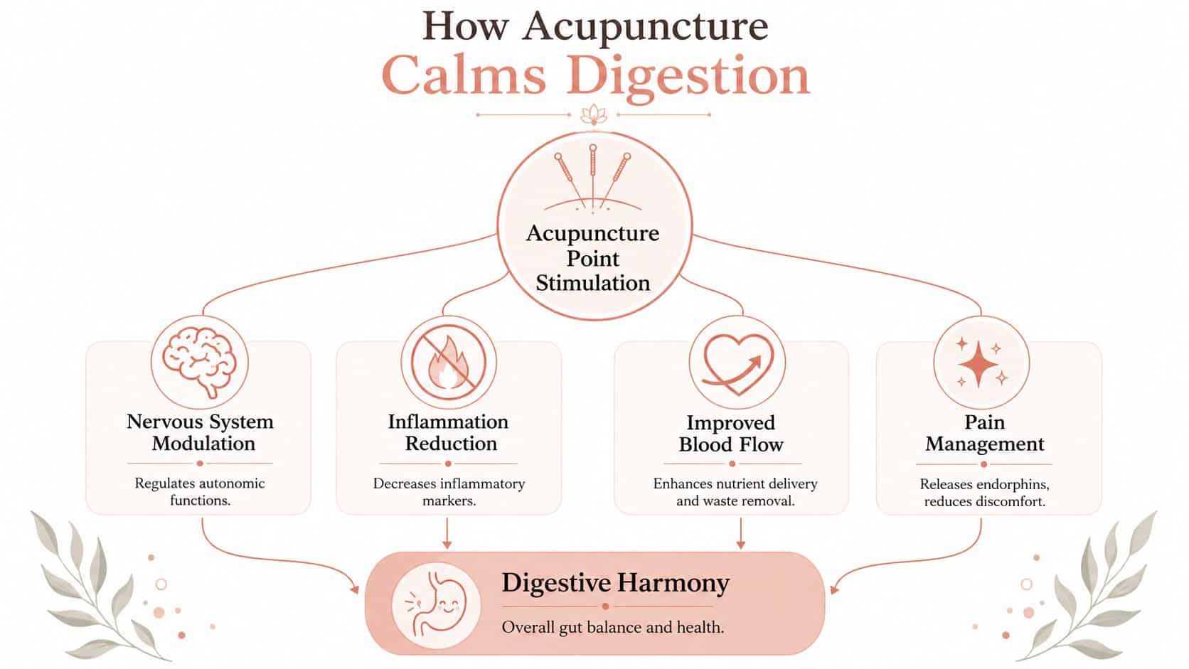 An infographic showing how acupuncture point stimulation leads to digestive harmony through nervous system and physical benefits.