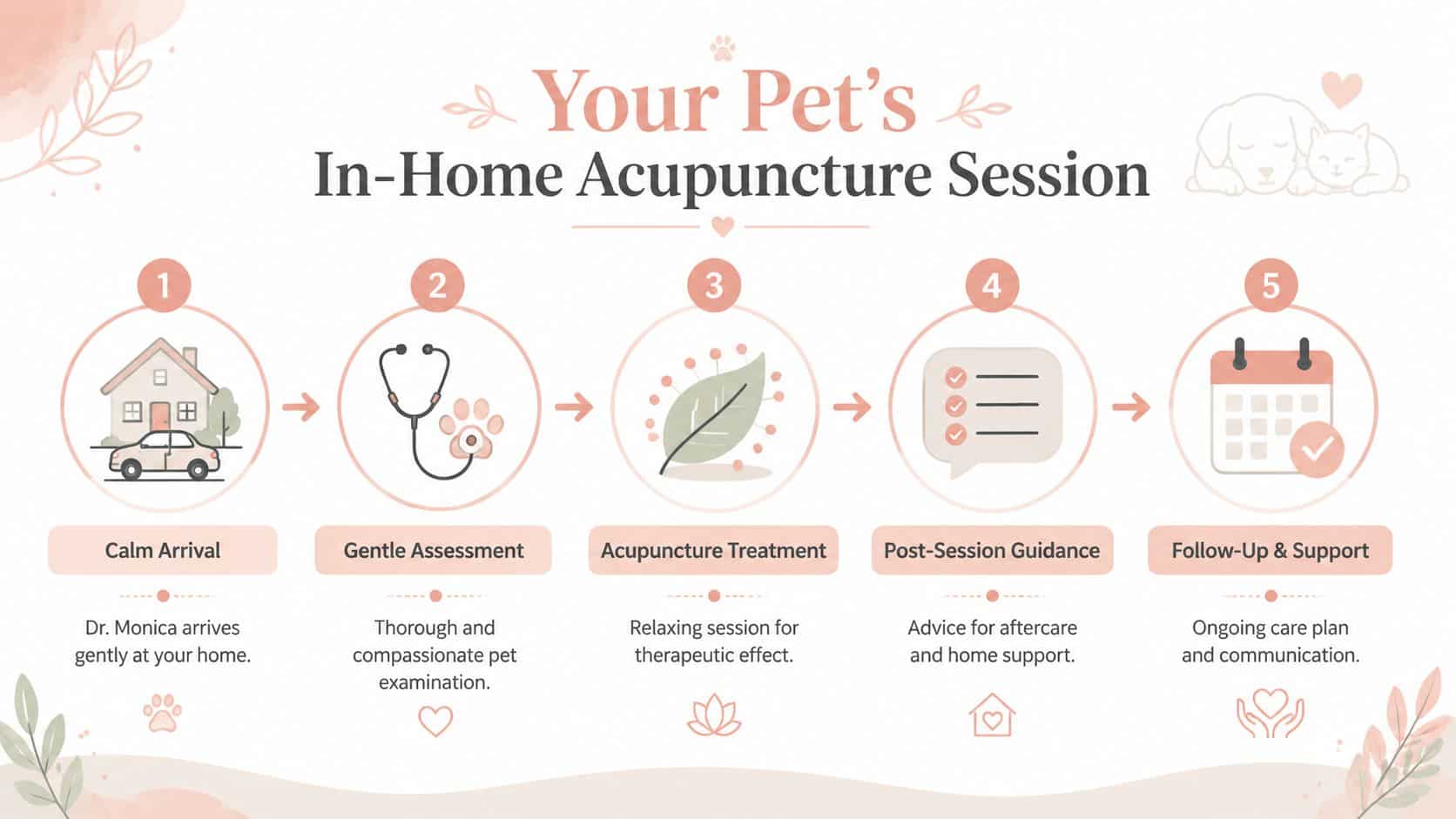 A five-step infographic outlining the process of an in-home veterinary acupuncture session for pets.