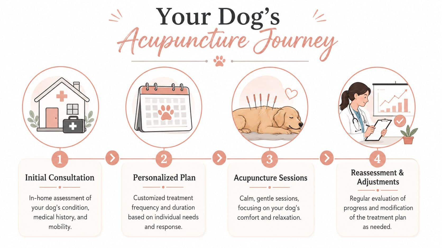 A four-step infographic illustrating the process of acupuncture for dogs including consultation, planning, sessions, and assessment.
