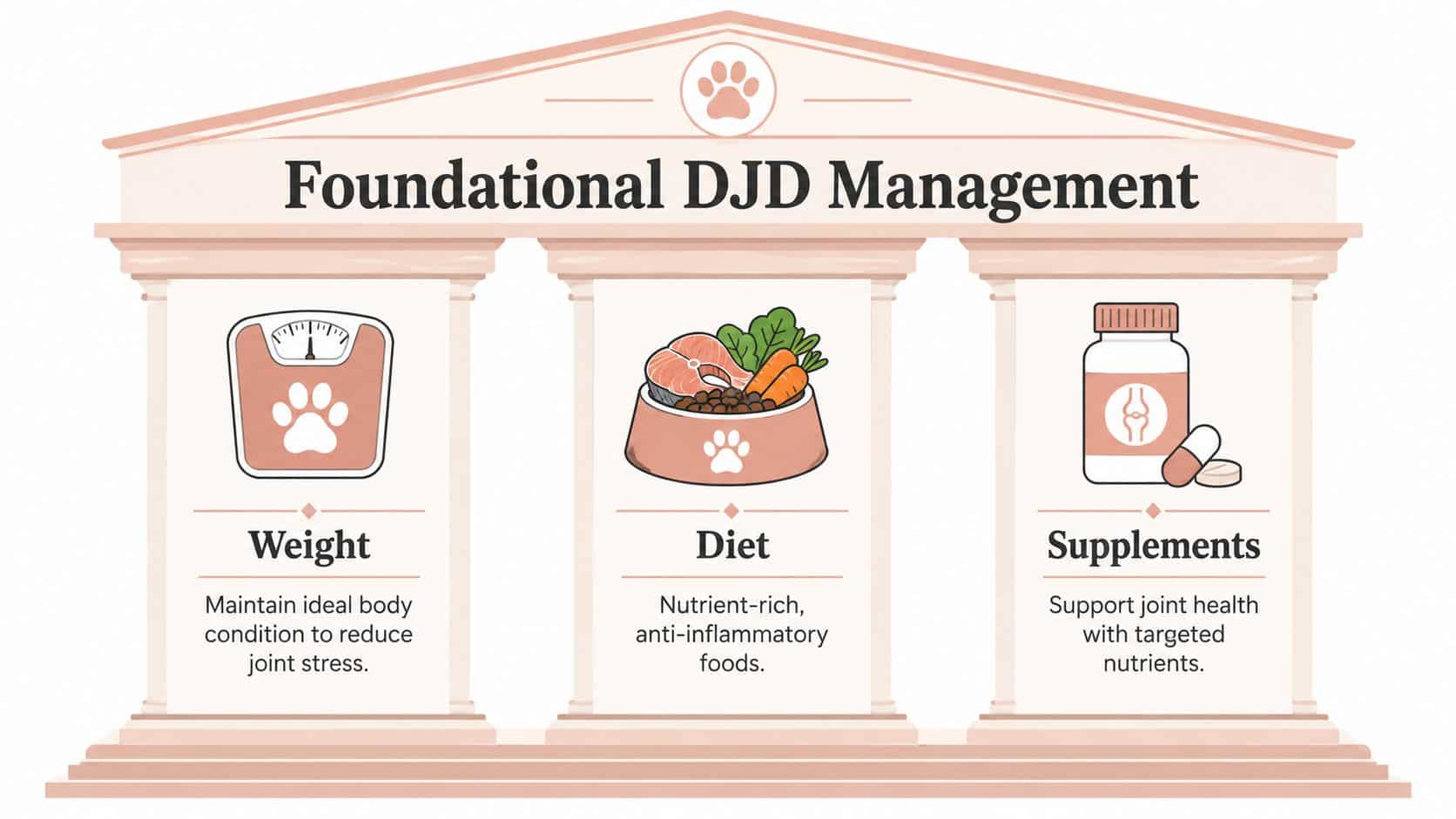 An infographic representing the three pillars of Foundational DJD Management: Weight control, Diet, and Supplements for pets.