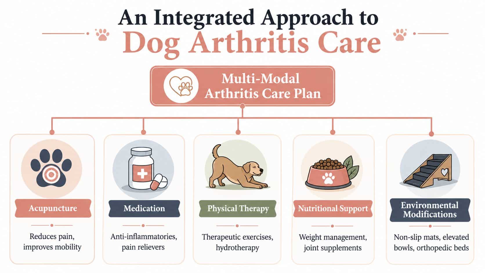 An infographic showing a multi-modal integrated approach to dog arthritis care including medical and lifestyle therapies.