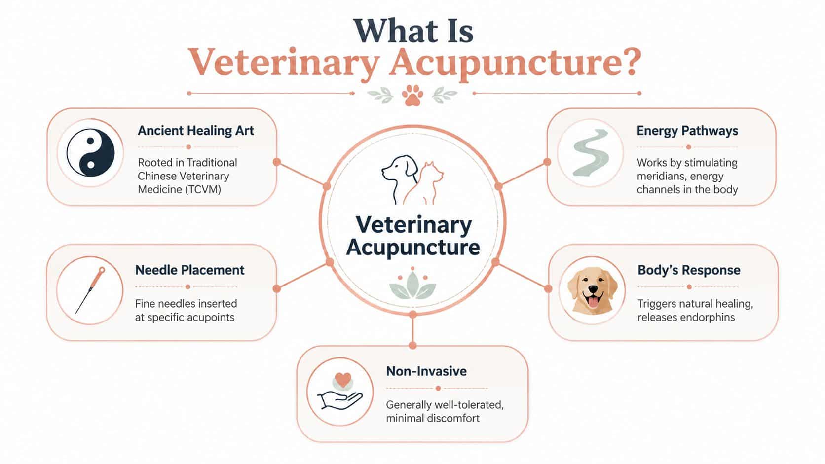An infographic explaining the benefits and concepts of veterinary acupuncture for dogs and pets.