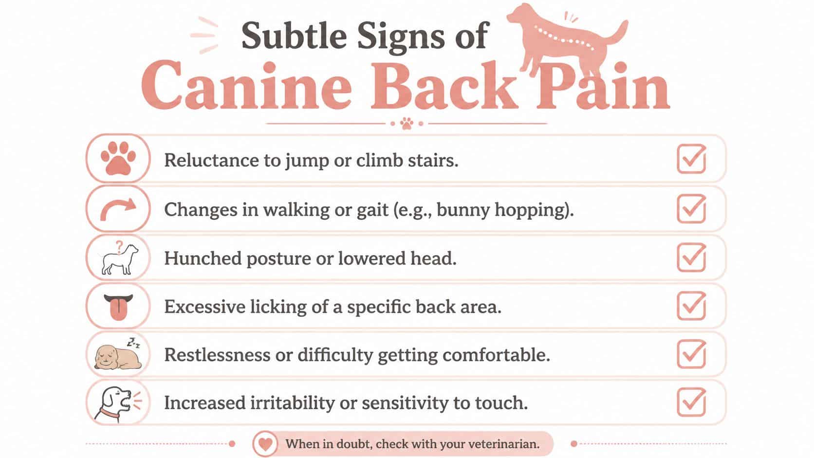 An infographic list showing common physical and behavioral signs of canine back pain in dogs.