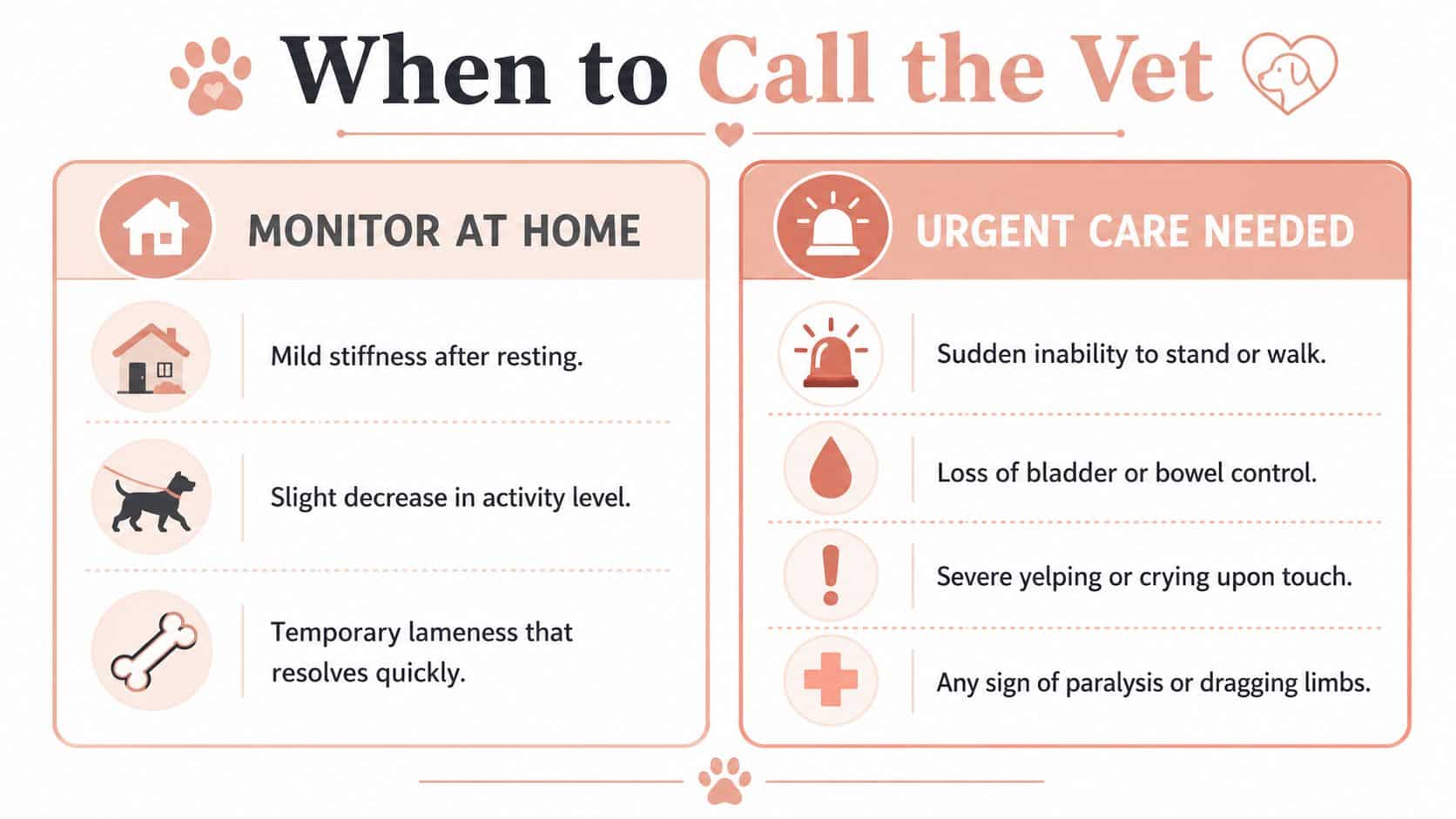 An infographic showing symptoms in dogs that can be monitored at home versus those requiring urgent care.