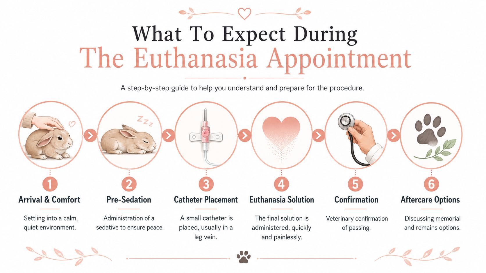 A six-step infographic guide detailing the gentle process of pet euthanasia in a calm clinical environment.