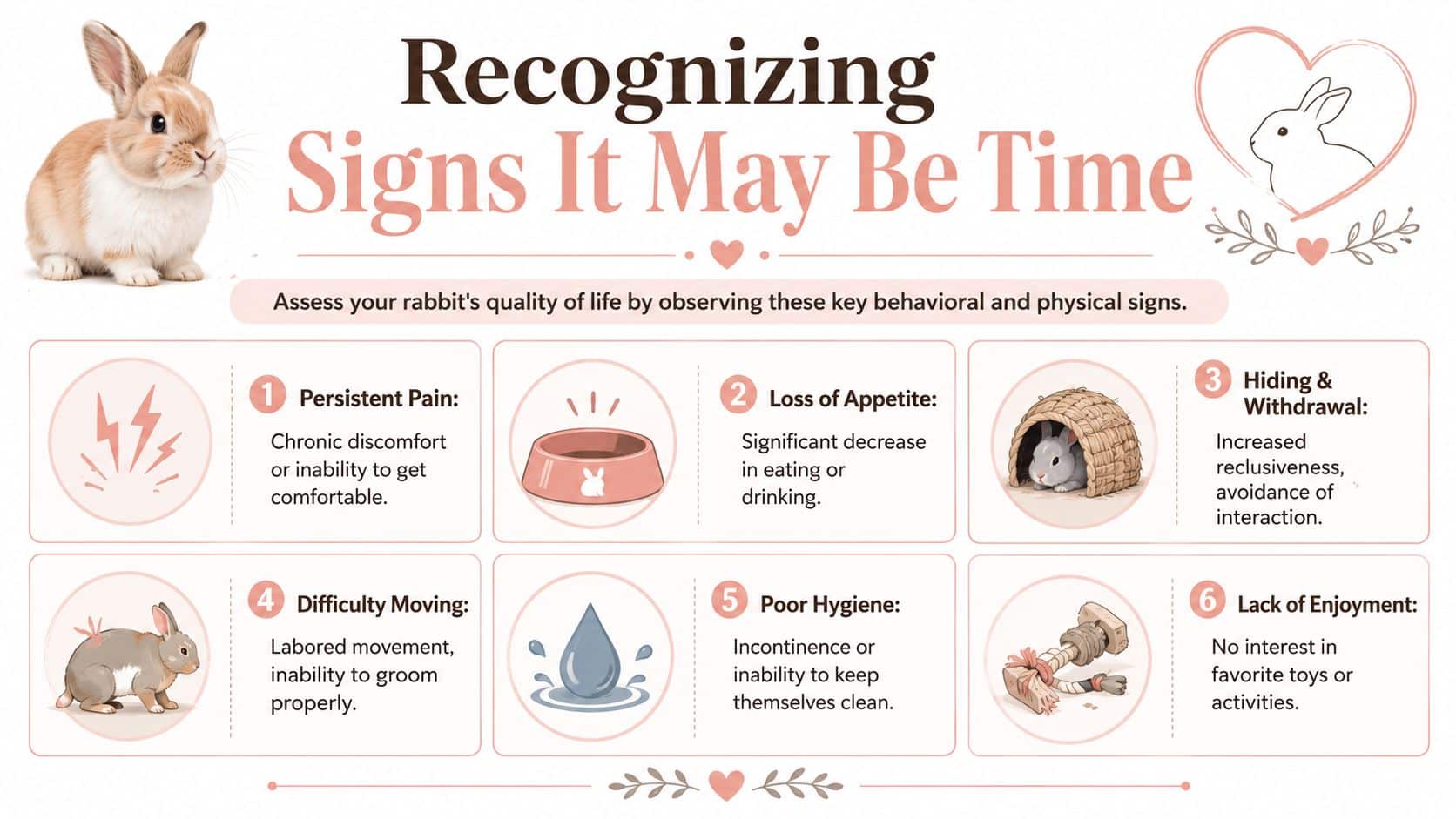 A helpful infographic outlining signs that a rabbit may be experiencing poor quality of life.