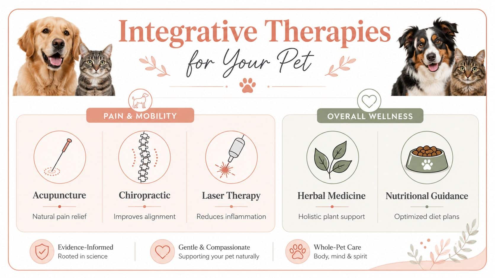 An infographic detailing integrative veterinary therapies, including acupuncture, chiropractic, laser therapy, herbal medicine, and nutritional guidance for pets.
