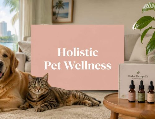 Holistic Pet Wellness for Dogs & Cats in Tampa