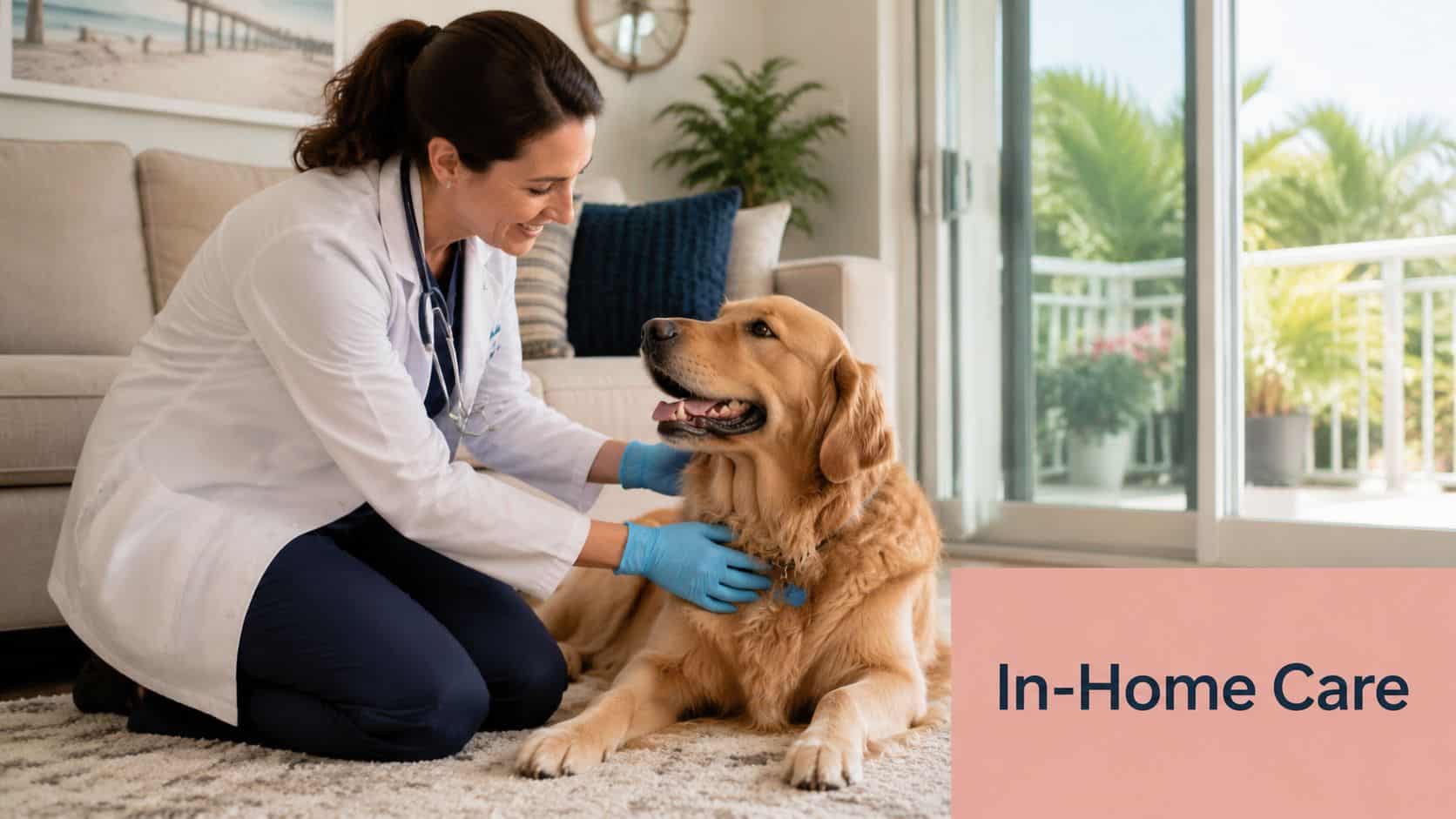 A friendly veterinarian in a white coat examines a golden retriever dog during a home visit.
