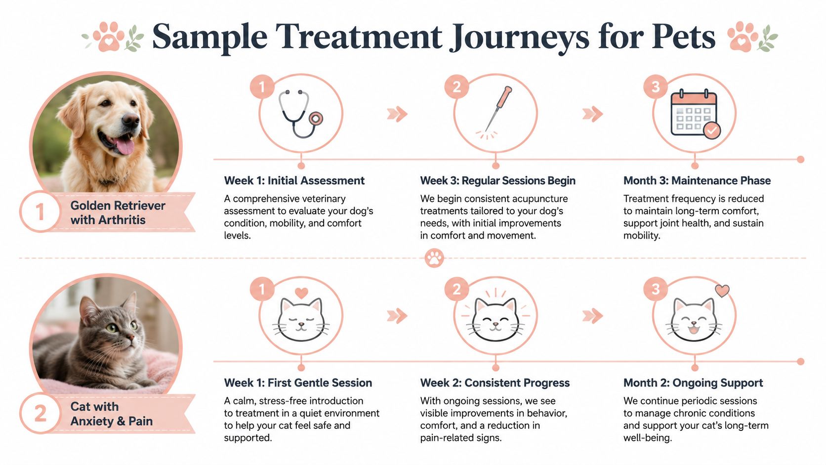 An infographic showing two sample acupuncture treatment journeys for a Golden Retriever and a cat.