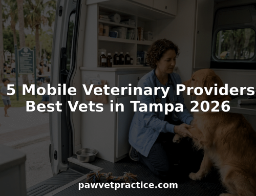 Top 5 Mobile Veterinary Providers for Best Vets in Tampa 2026