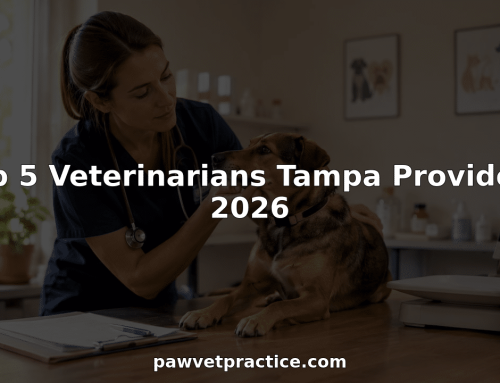 Top 5 Veterinarians Tampa Providers 2026