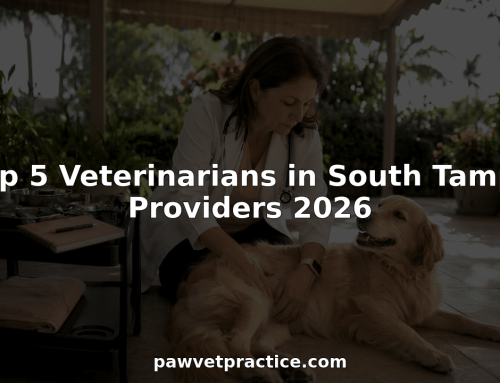 Top 5 Veterinarians in South Tampa Providers 2026