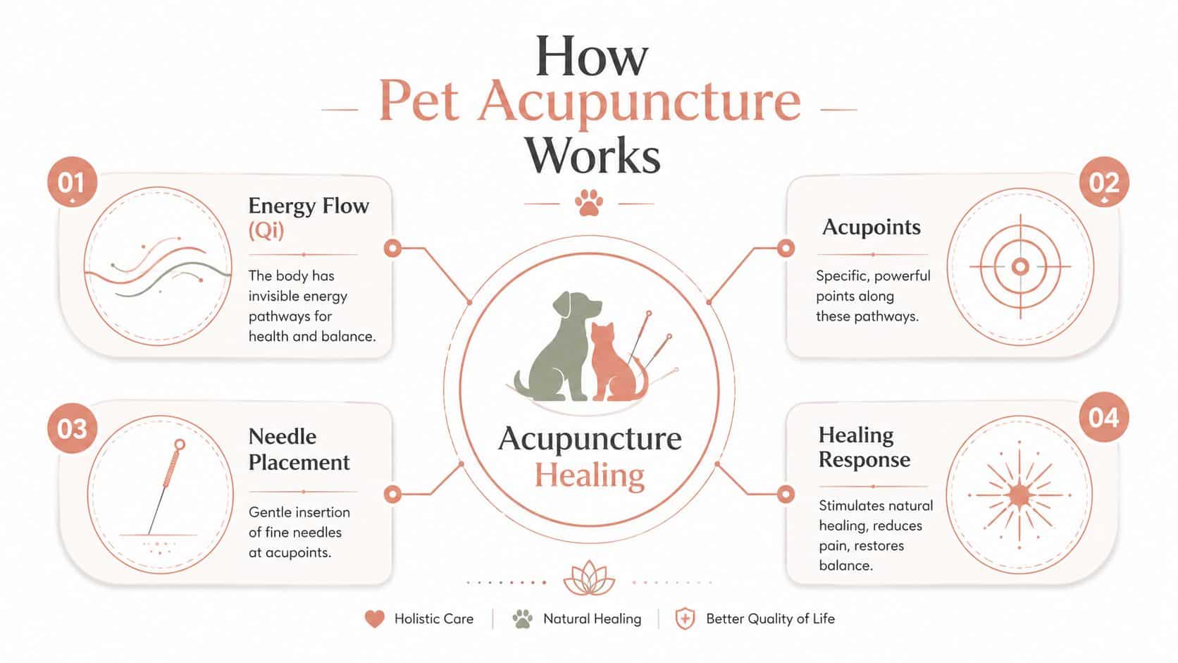 An infographic titled How Pet Acupuncture Works, illustrating the process from energy flow to healing response.