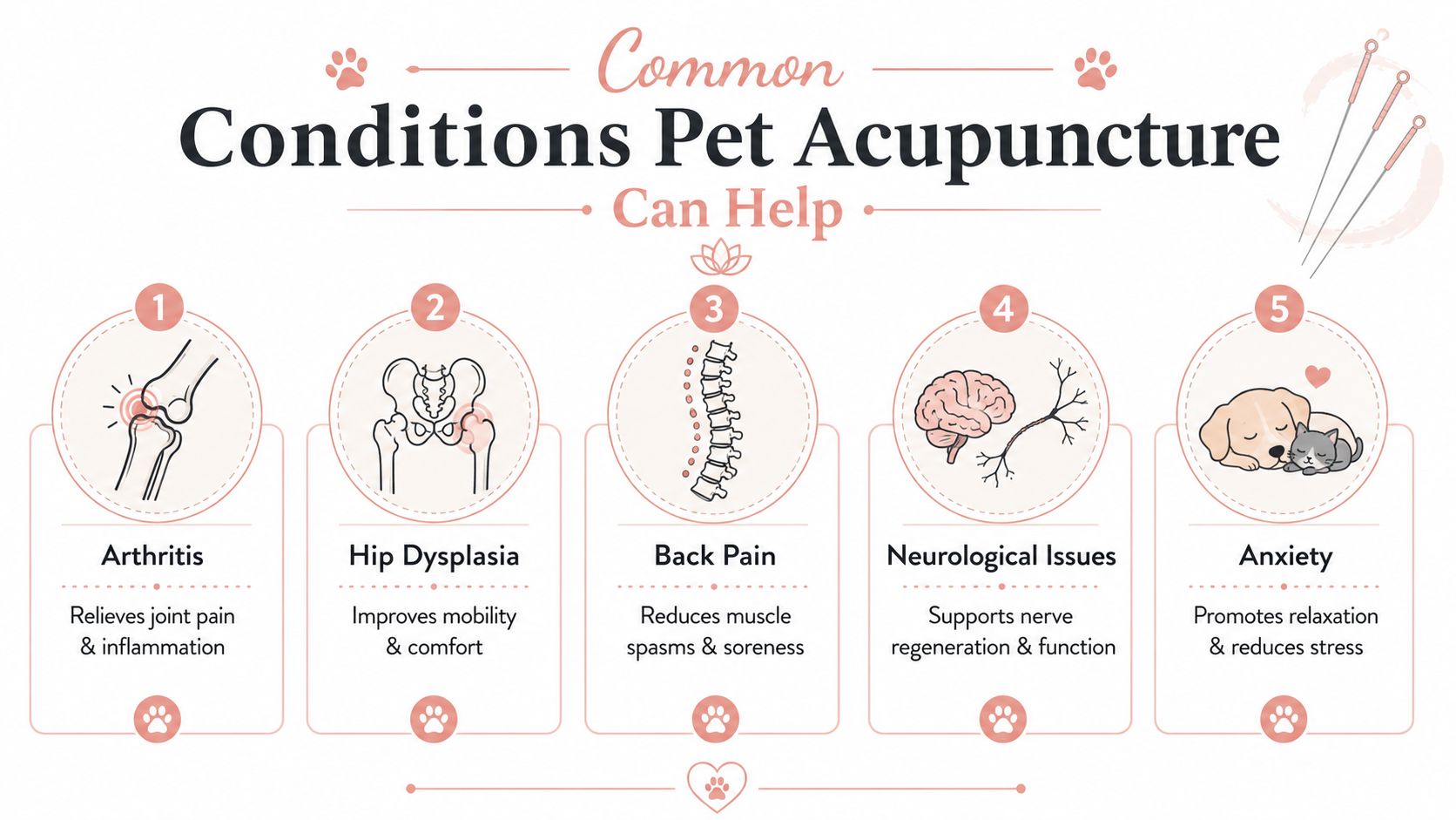 An infographic illustrating five common pet health conditions that can be treated with acupuncture therapy.