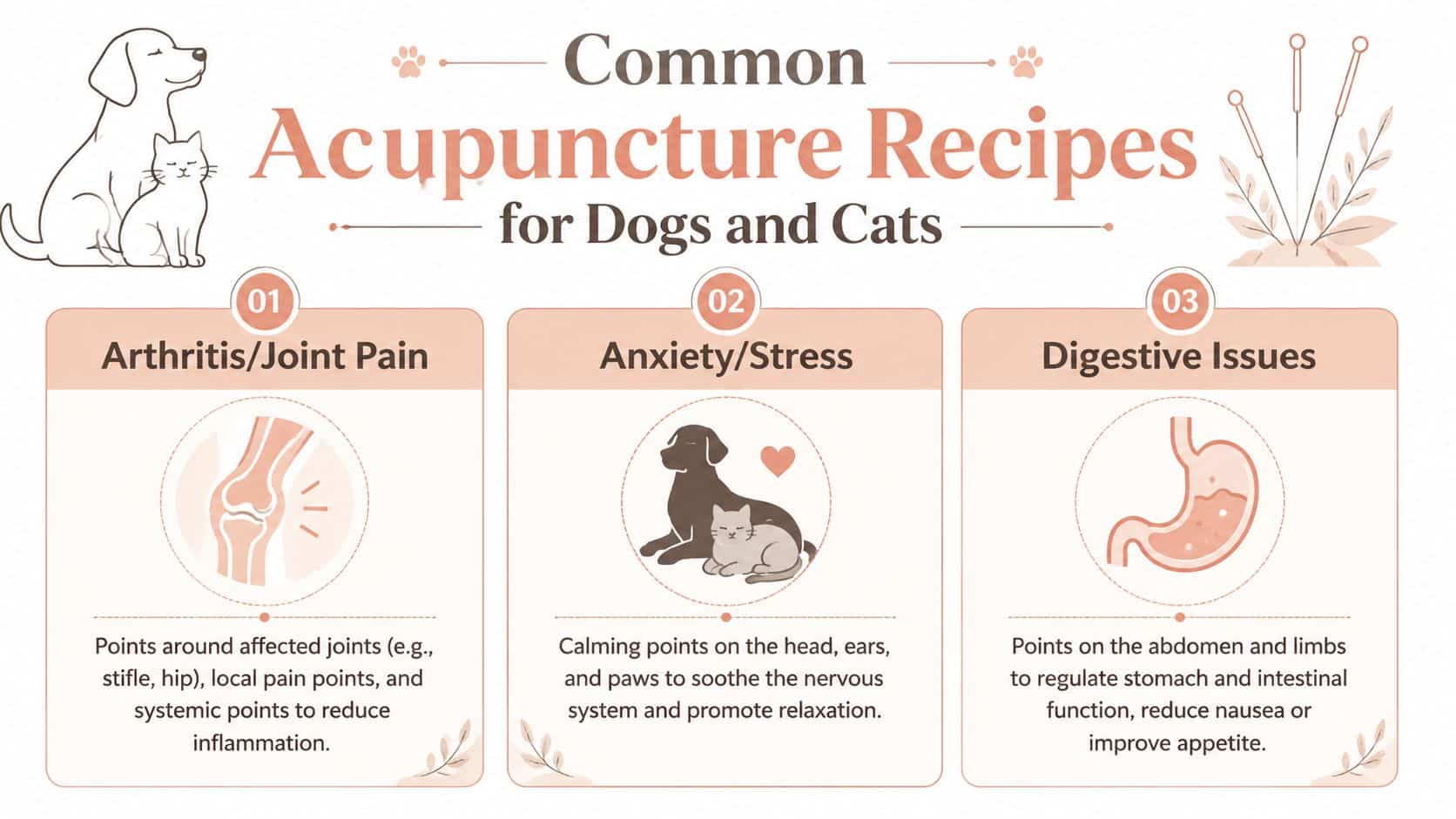 An infographic showing common acupuncture points for dogs and cats to treat arthritis, anxiety, and digestive issues.