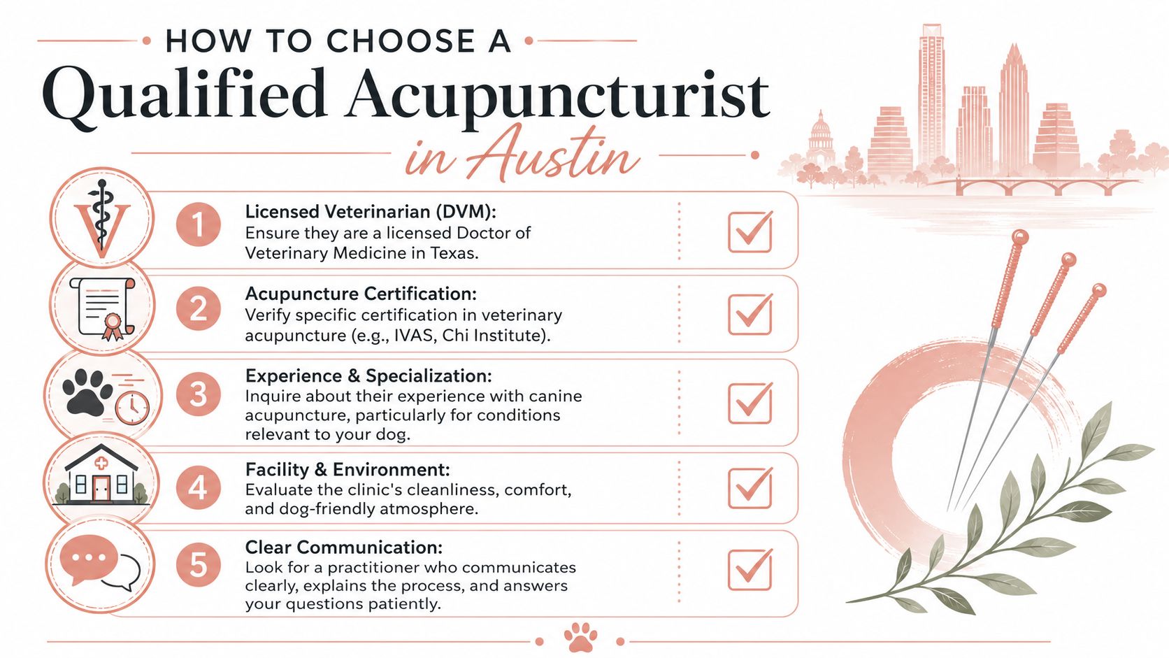 An infographic showing five steps for choosing a qualified veterinary acupuncturist for dogs in Austin, Texas.