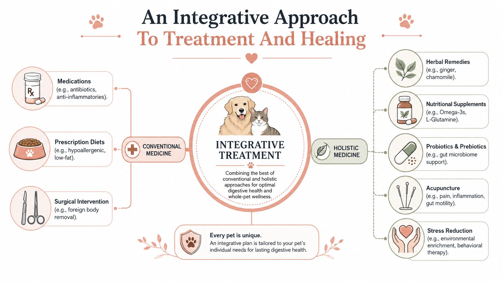 A diagram illustrating an integrative approach for pet digestive health, combining conventional and holistic veterinary treatments.