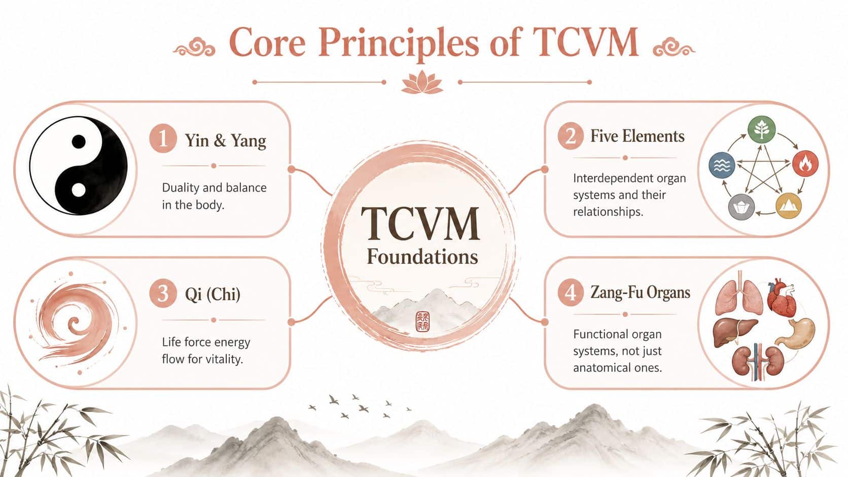 A diagram illustrating the four core principles of Traditional Chinese Veterinary Medicine including Yin Yang, Five Elements, Qi, and Zang-Fu organs.