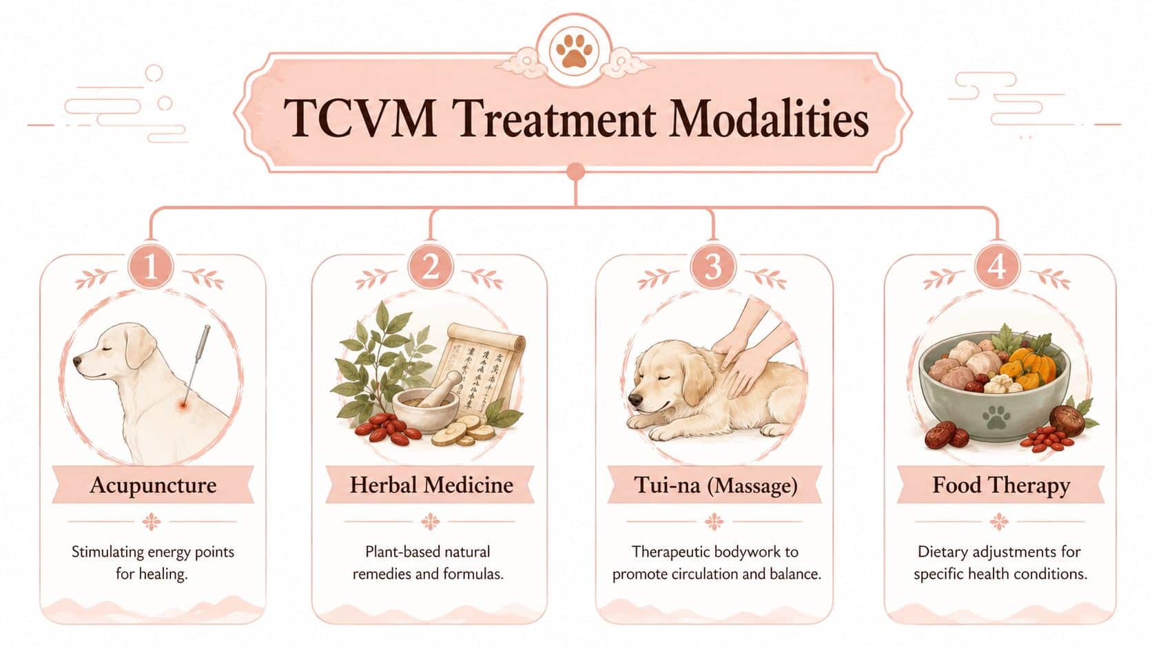 A visual guide outlining four key modalities of Traditional Chinese Veterinary Medicine for pets.