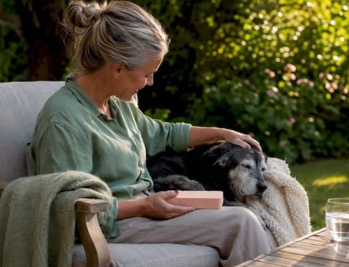 When Pet Caregiver Burnout Sets In: Signs and Ways to Cope