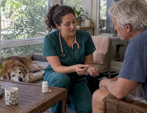 SAMe for Dogs: Why 18 to 20 mg/kg Still Needs Vet Guidance